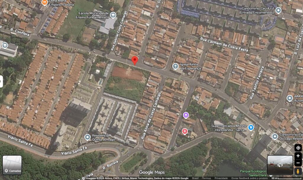 Planta / foto 2